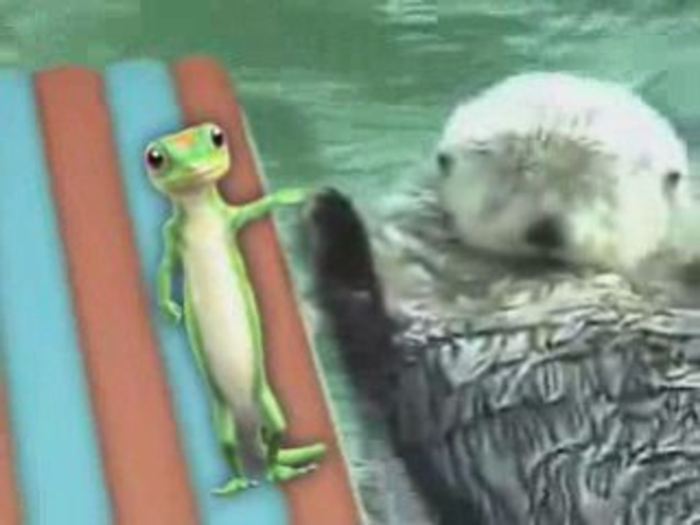 ⁣Otters holding hands, and a Gecko