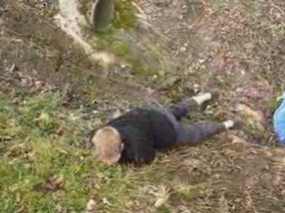 Journée tranquille pour tvconneries