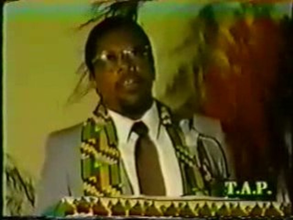 Blueprint for Black power- DR. Amos Wilson part1