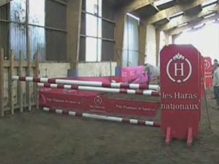 Roudoudou d'hurl'vent: présentation d'étalons