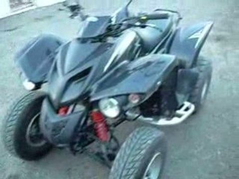 quad adly 300
