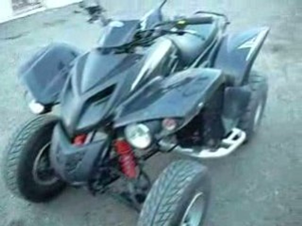 quad adly 300