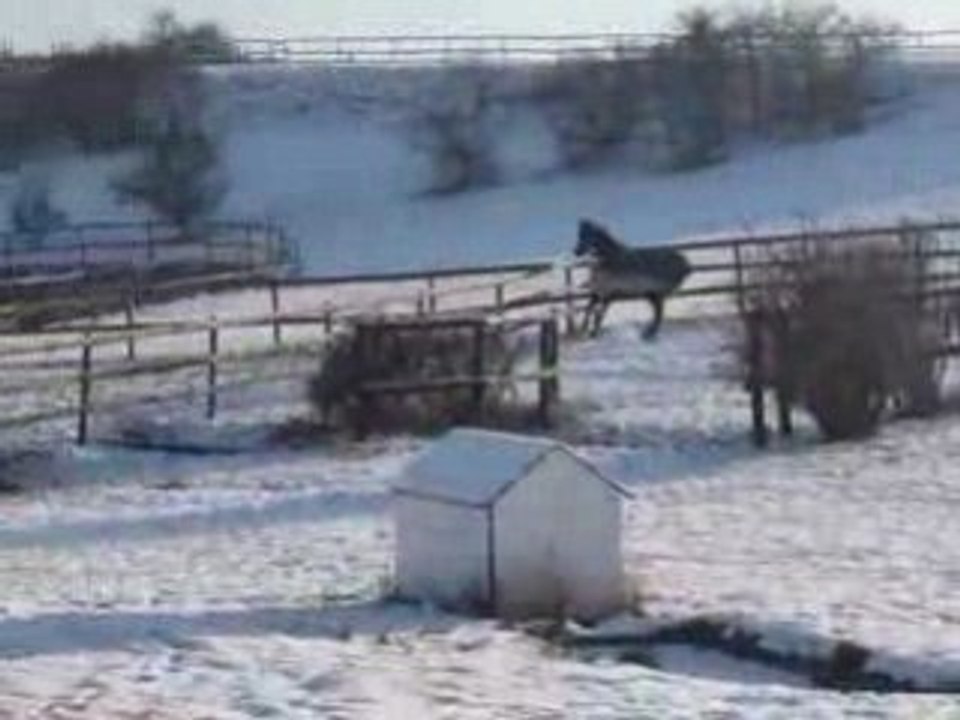 Run to me se défoule dans la neige