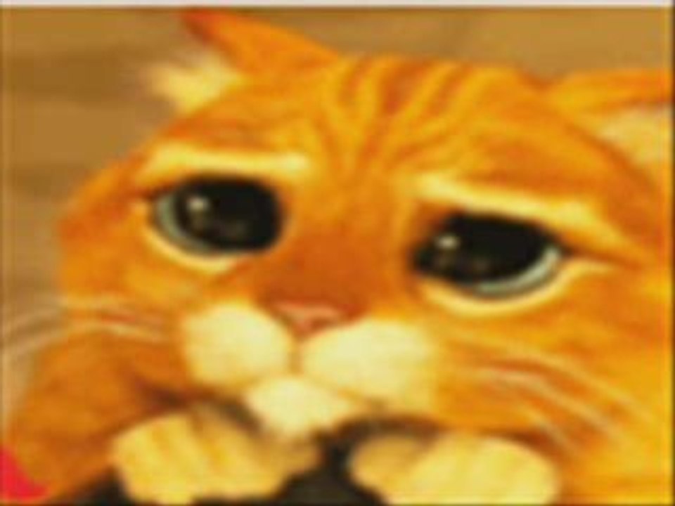 Antexo poli remix