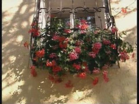 Alpinresort & Spa „Übergossene Alm“ in Dienten