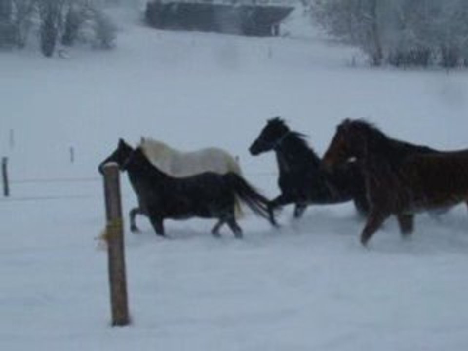 Hiver-2008-2009