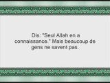 Sourate 7: al araf versets 171 - fin de la sourate