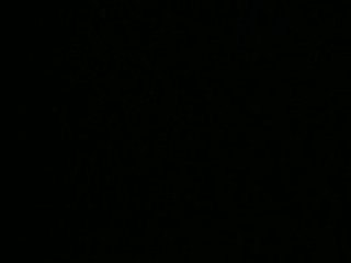 Cris dans la nuit : retour des grues ?