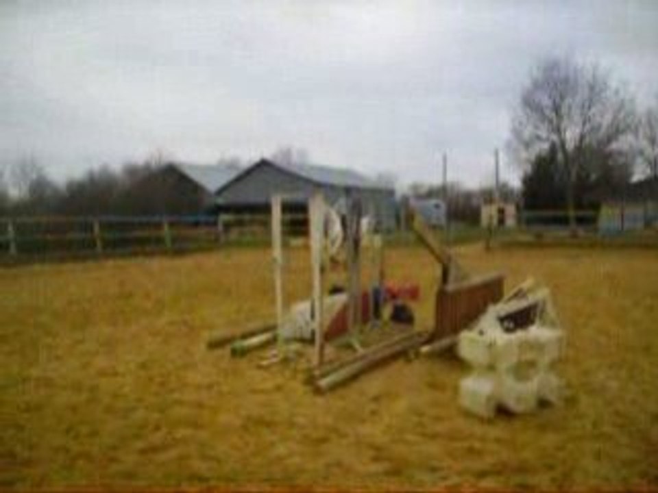 eden et moi saut en licol