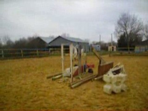 eden et moi saut en licol