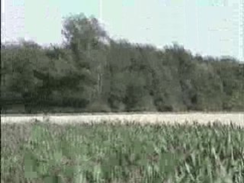 SDV_0024