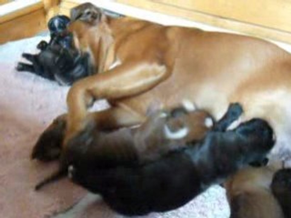 Vidéo 002