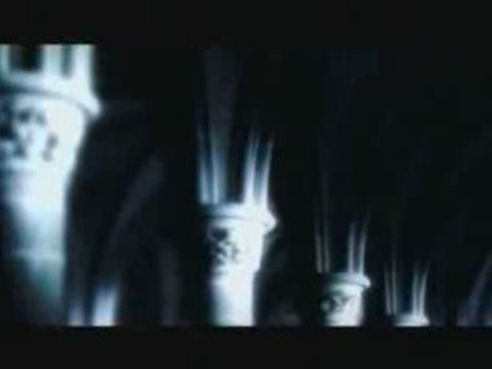D - Nocturnal