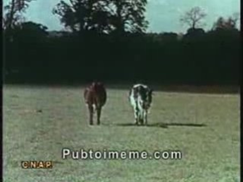 Maggi "L'opéra-boeuf" Fr 1957