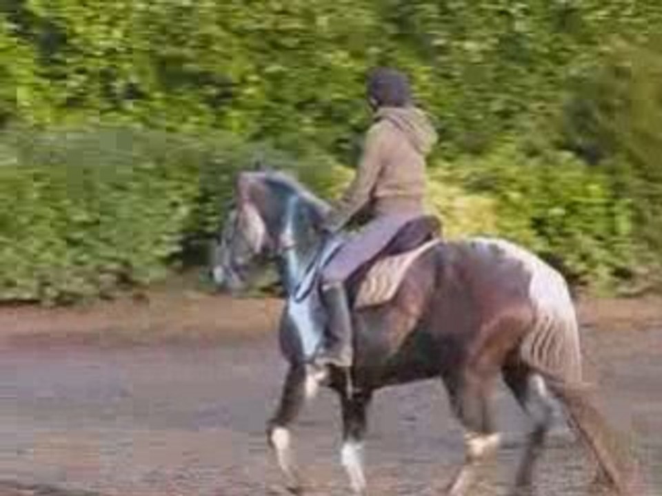 Qayenne en saut - Elle s'améliore !