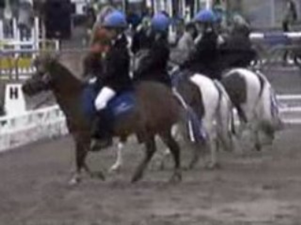 Dressage A1