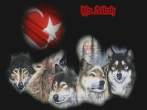 Ahmet Şafak - Yalnız Kurt