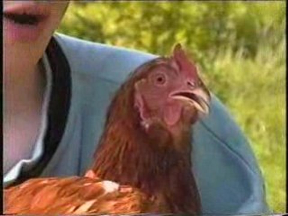Vidéo-Dailymotion