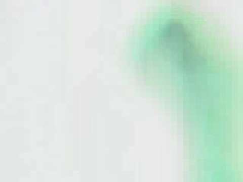 Testamento Biologico