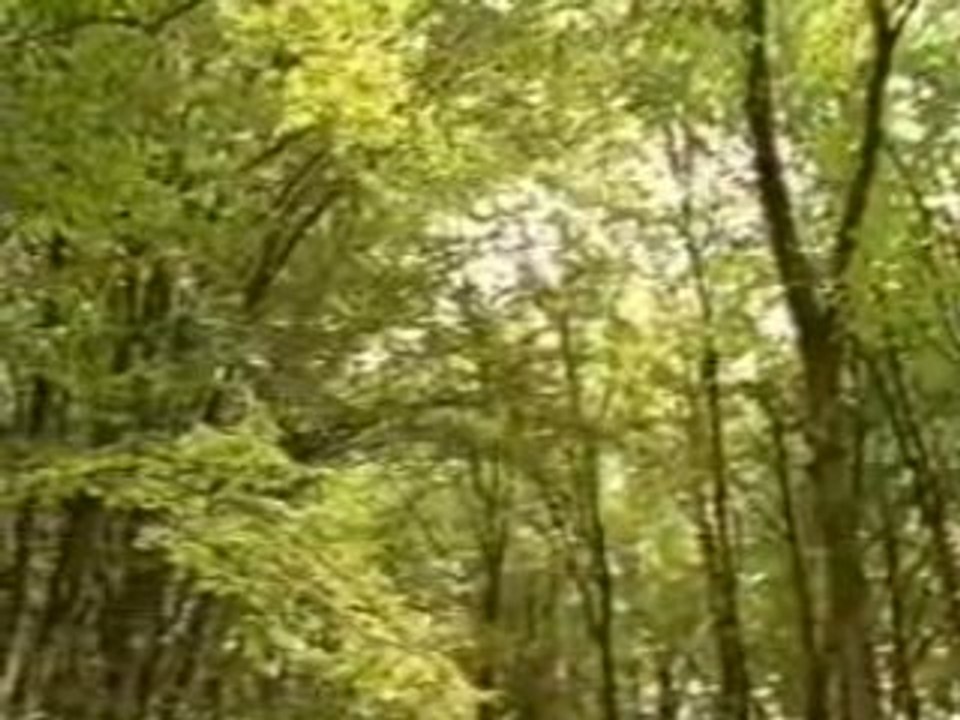 Rennes le Château I - Le grand mystère 2/4