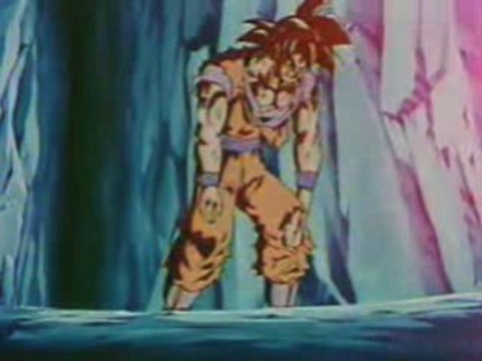 Amv dbz c-13