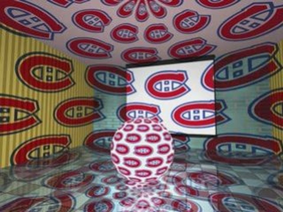 Canadien on veux la coupe
