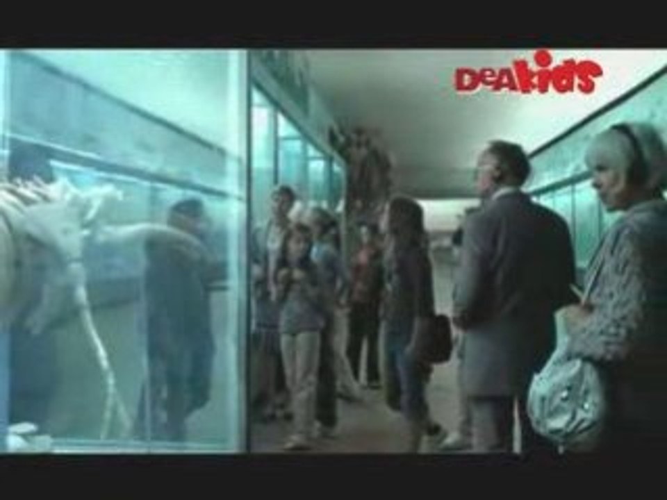 VideoBrief Contest DeaKids