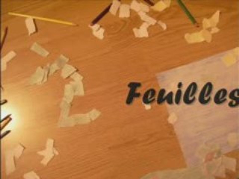 L'environnement en Stop Motion