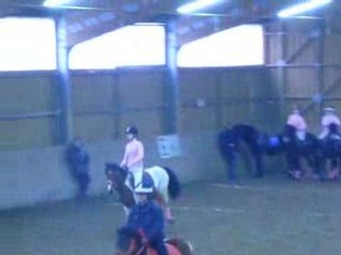 Pony Games : Les cartons