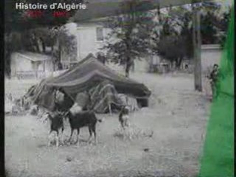 LE MASSACRE DU 20 Août 1955  Aïn Abid