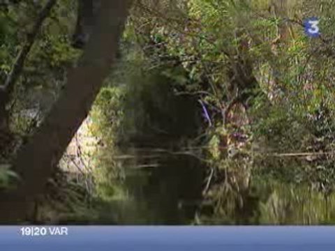 Découvertes d’espèces de poissons protégées dans le Las