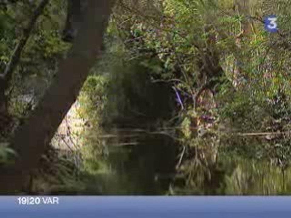 Découvertes d’espèces de poissons protégées dans le Las