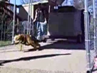 best rated lawn tractors and deer john lawn tractor