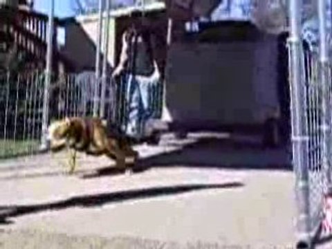 best rated lawn tractors and deer john lawn tractor