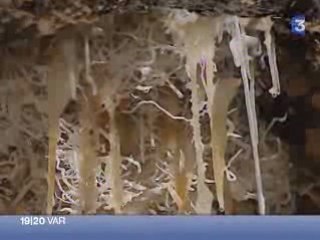 «la Foux » - Reportage n°2 - France 3 – Toulon