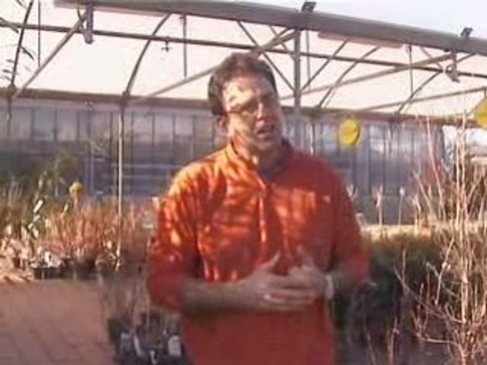Les phytosanitaires, pas plus que nécessaire !!!