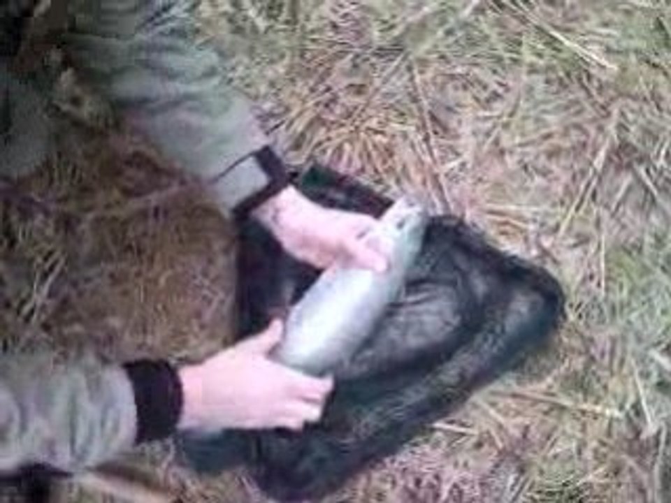 peche a la mouche a la salamandre.