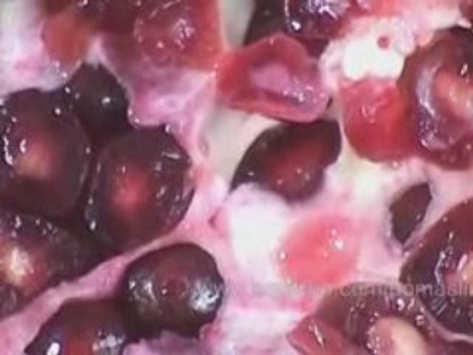 How The Power Of Pomegranate Can Be Found In Pomaslim