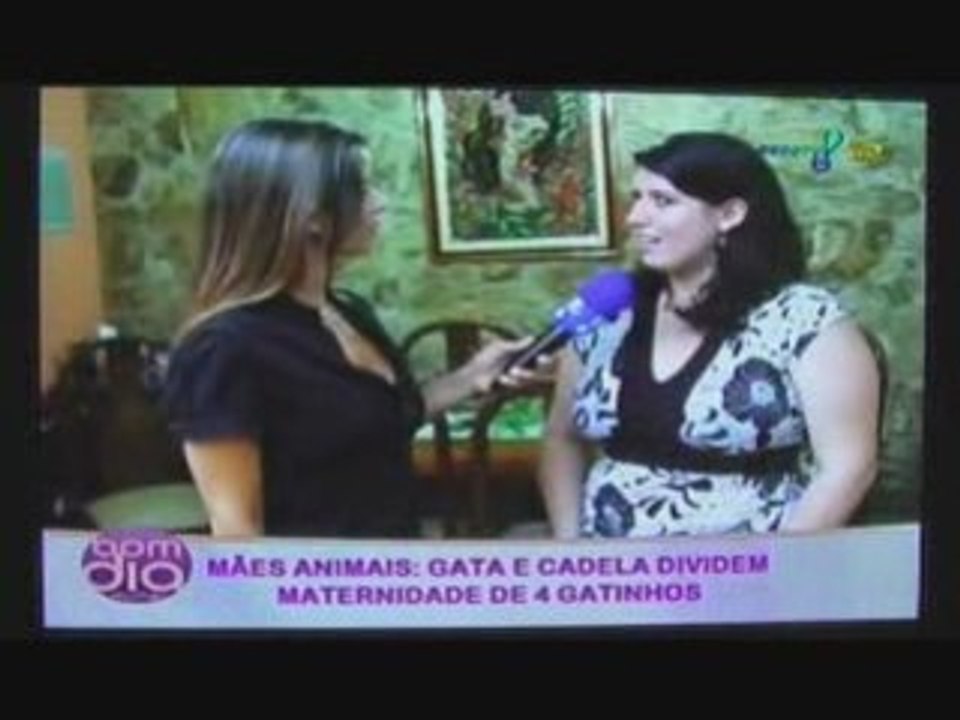 10fev2009 - Gata e cadela dividem maternidade