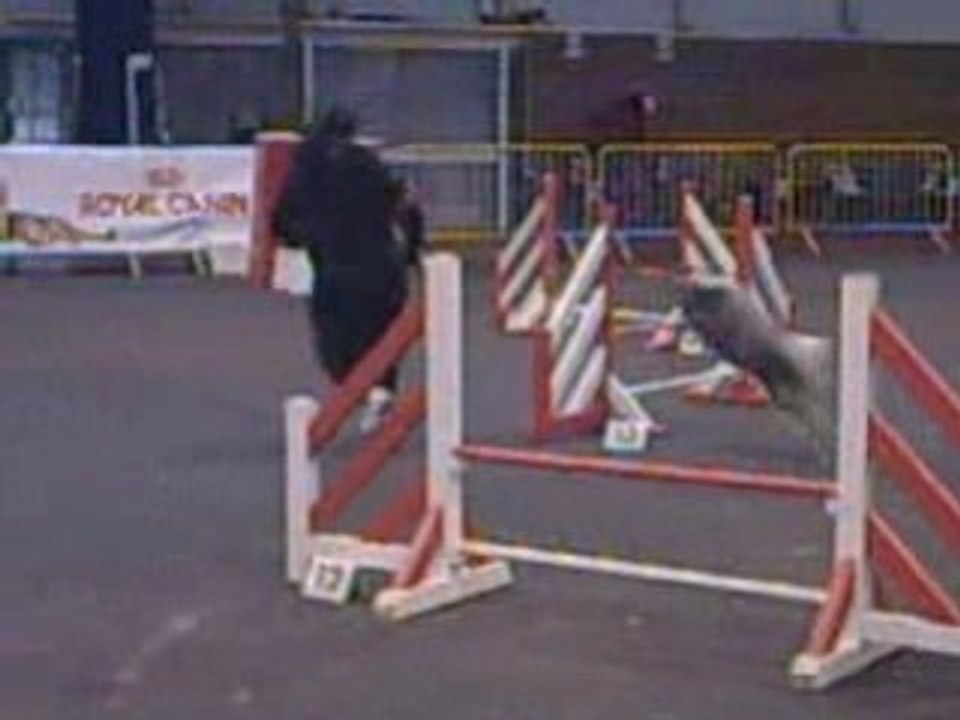 Celtic jumping