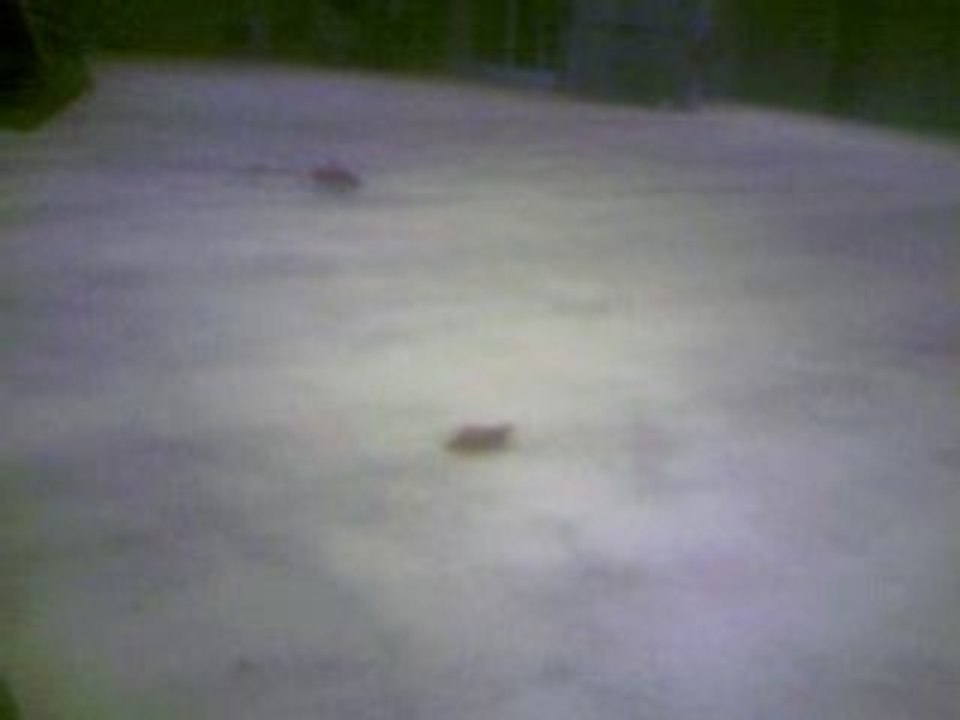 Brushless4