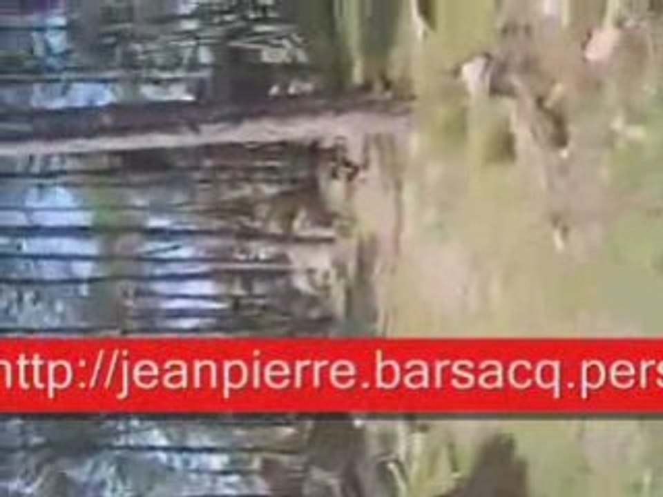 Video-corse (0)