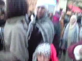 manifestation palestine a marseille: ANIS