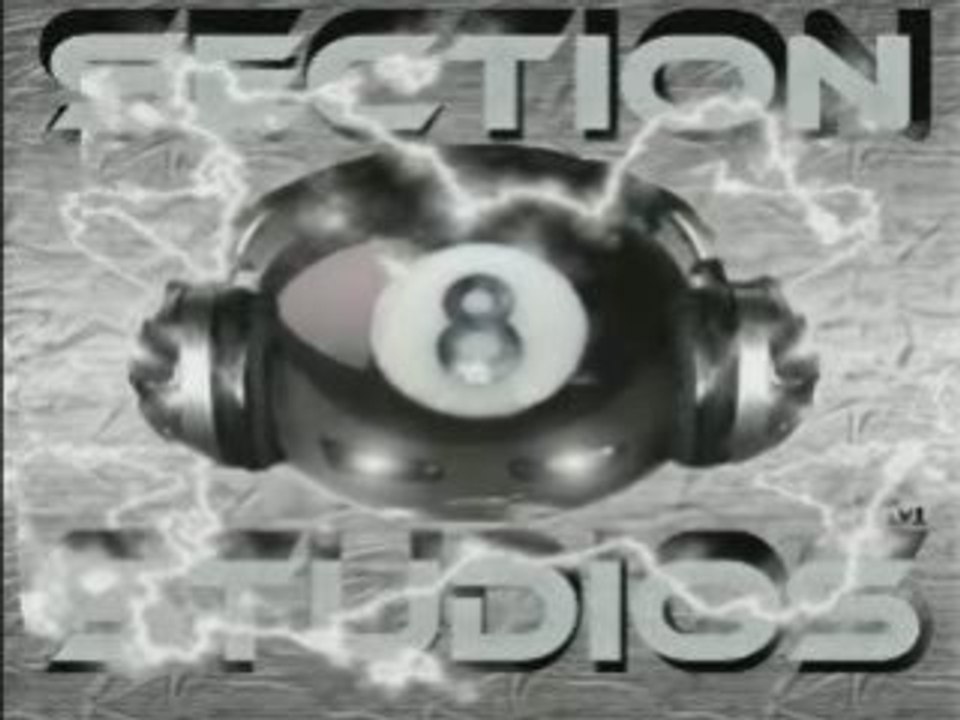 Nsection8 new logo