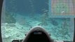 Virtual Diving @ Ship Rock