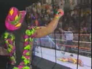Randy Savage - Dick it (1990)