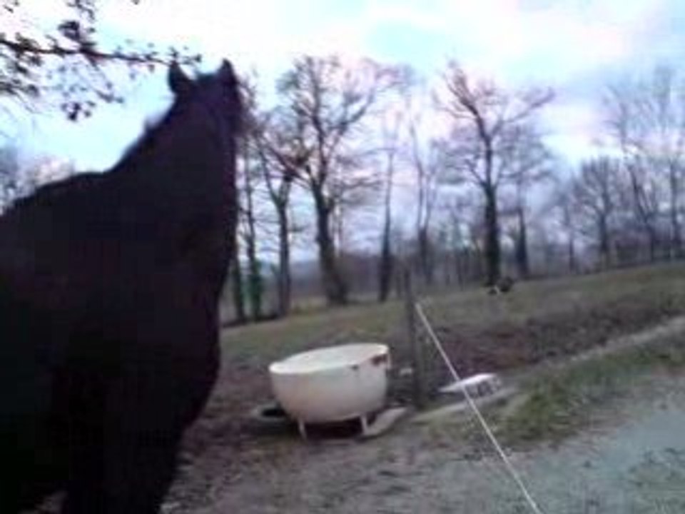 Feu pête son cable