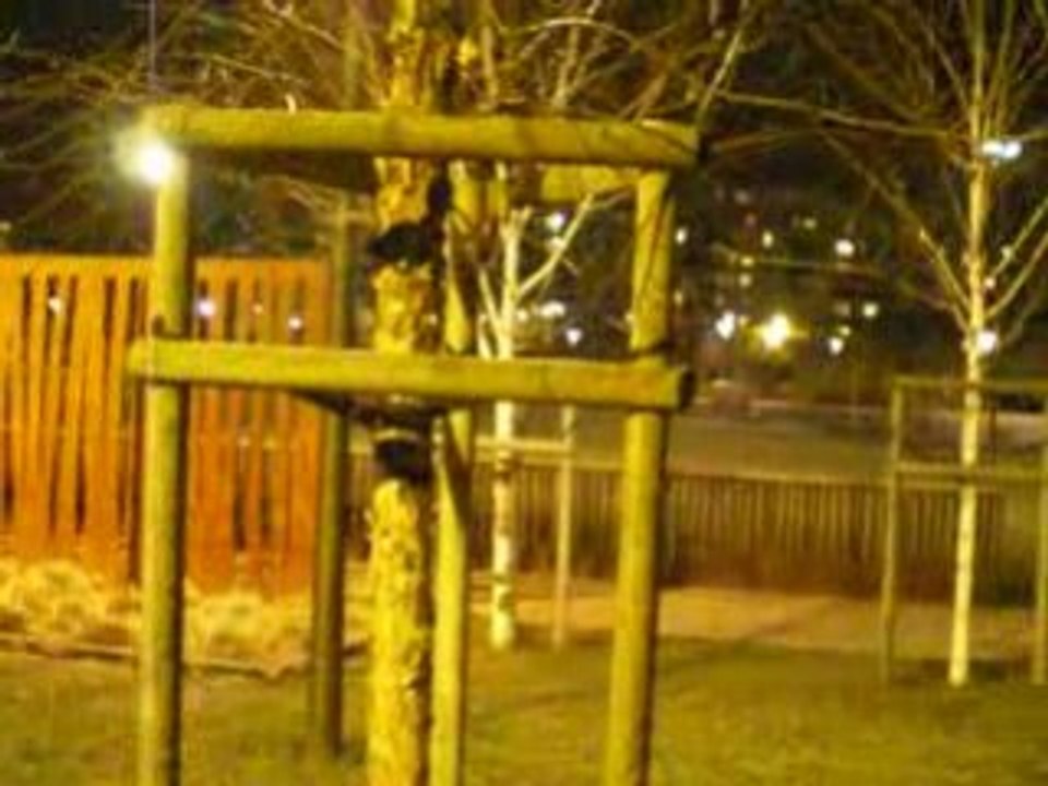 Lyon: Ombres et Lumières sur Palissades