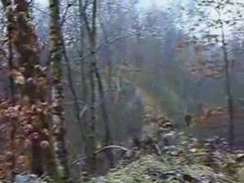 Airsoft -event. Partie à Namur