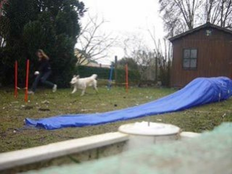 Mayka agility ( fin février )